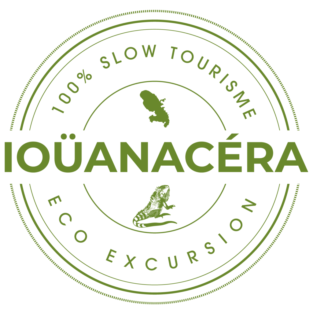 Iouanacera eco excursion