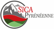 Sica Pyrénéenne