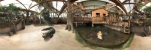 Alligator Bay