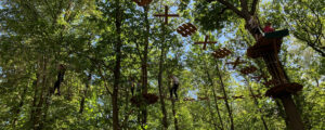 Accro Camp - Foret de Meudon (92)