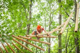 Acroforest